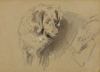 埃德温·亨利·兰瑟爵士的《狗的研究》