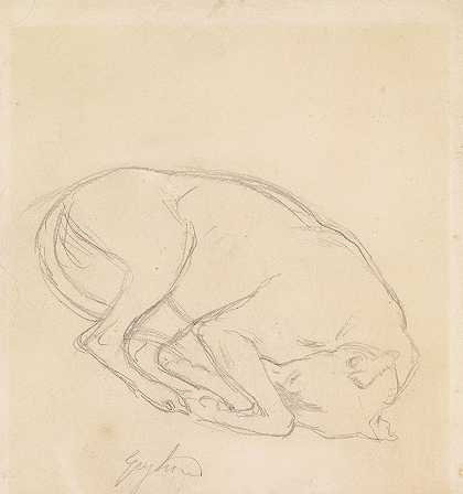 约翰·埃弗雷特·米莱斯爵士（Sir John Everett Millais）注释为“灰狗”，对一只沉睡狗下巴的研究