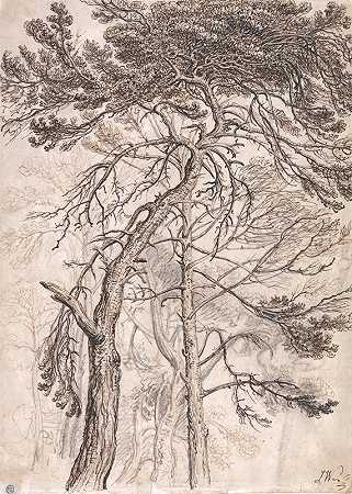 詹姆斯·沃德的《树木研究》