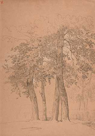 雅克·雷蒙德·布拉卡萨特的四棵树