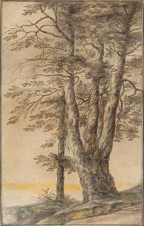 卢卡斯·范·乌登的《树木研究》