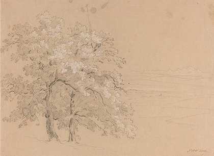 让·安托万·林克的《全景风景前的阳光树》