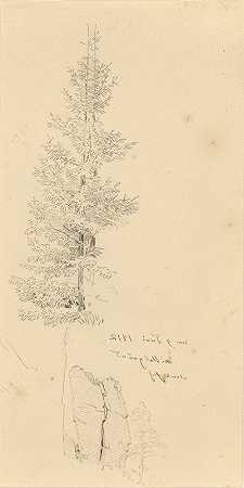 卡斯帕·戴维·弗里德里希的《松树与岩石研究》