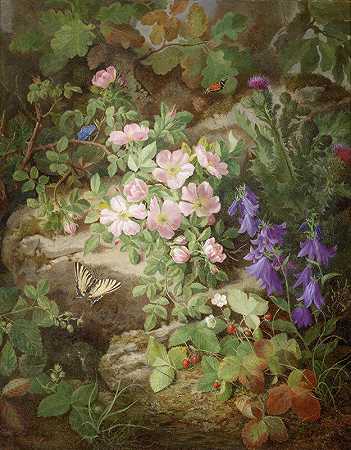 约瑟夫·劳尔的《高山花卉的大型静物》