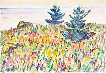 艾伦·塔克的《水彩35号，有两棵松树的田野》