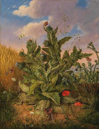 格奥尔格·塞茨的《草甸花与蝴蝶的大型蓟静物》