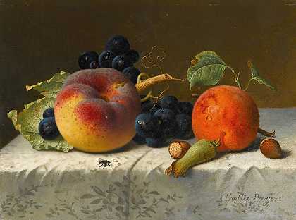 艾米莉·普雷耶（Emilie Preyer）的《桌布上桃、杏、葡萄和榛子的静物》