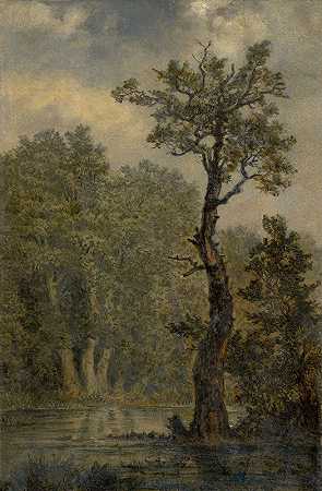 卡尔·古斯塔夫·卡鲁斯的“森林风景（风景研究，可能是莱比锡附近的罗森塔尔）”