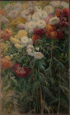 Gustave Caillebotte的《小Gennevilliers花园里的菊花》