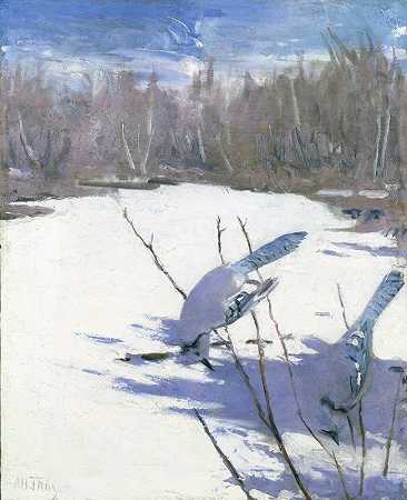 阿博特·汉德森·塞耶（Abbott Handerson Thayer）的《冬天的蓝鸟》（Blue Jays In Winter），《动物王国中藏书颜色的研究》