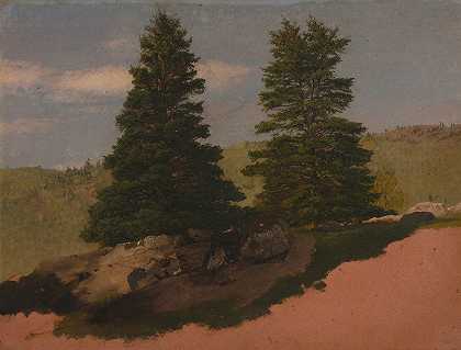 弗雷德里克·埃德温·丘奇的《新英格兰风景（两棵松树）》