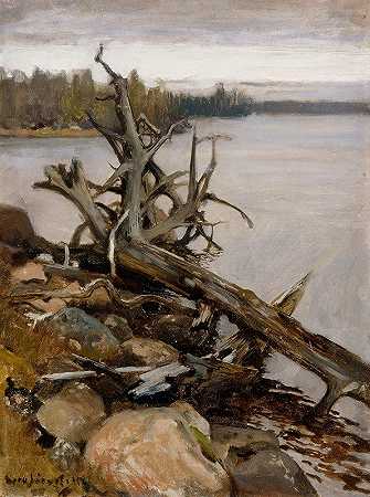 Eero Järnefert的《水中的死松树》