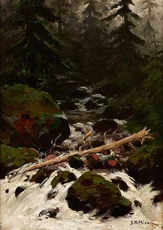斯坦尼斯瓦夫·维特基维奇的《森林中的溪流》