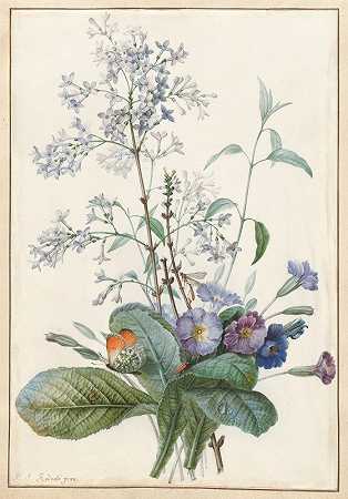 Pierre Joseph Redouté的《带昆虫的花束》