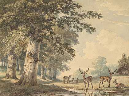 Hendrik Gerrit ten Cate的《冬天山毛榉树下的鹿》