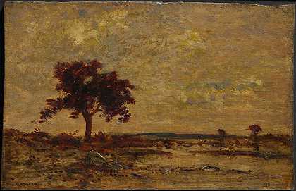 《沼泽地》（Théodore Rousseau）
