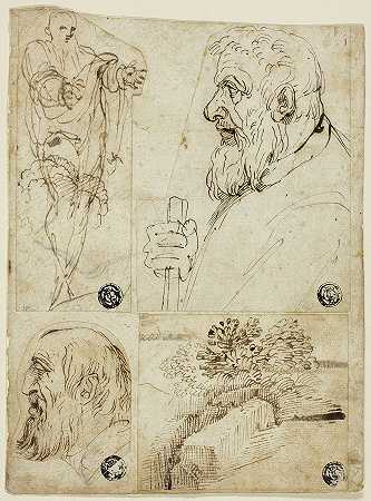 “四幅素描站立的男性人物胡须男子的侧面胸像胡须男人的侧面头像阿戈斯蒂诺·卡拉奇的风景画