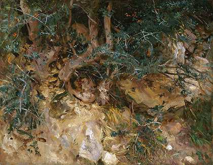 约翰·辛格·萨金特（John Singer Sargent）的《马略卡岛上的伏地魔——山坡上的蓟和牧草》（Valdemosa，Majorca）