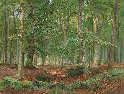 Heinrich Böhmer的《森林美景》