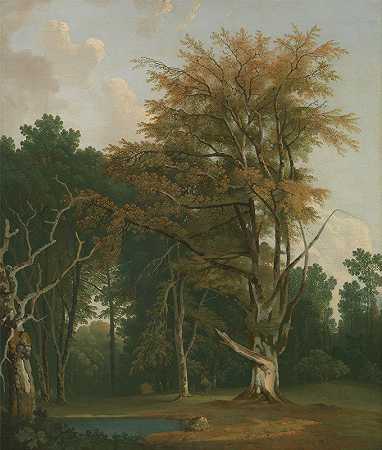 约瑟夫·法林顿（Joseph Farington）的《树林中的树木》（Trees in a Woodland Glade）