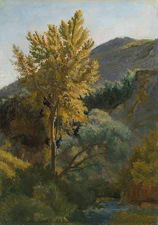 “让-巴蒂斯特·卡米尔·科罗特（Jean-Baptiste Camille Corot）在意大利研究附近的一棵树