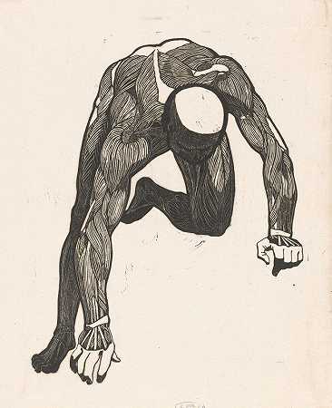 Reijer Stolk对一名男子的颈部、手臂和腿部肌肉的解剖学研究