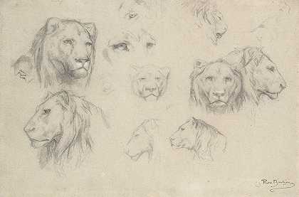 Rosa Bonheur的《狮子和雌狮研究》