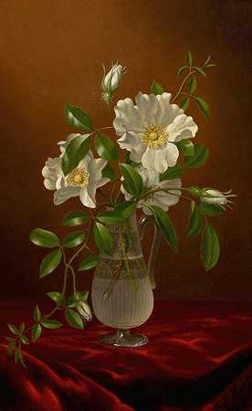 马丁·约翰逊·海德的《玻璃花瓶里的切诺基玫瑰》