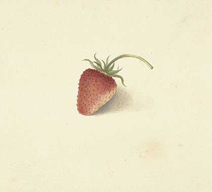 伊丽莎白·格特鲁伊达·范·德·卡斯蒂尔的《草莓》