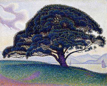 保罗·西格纳克（Paul Signac）的《Bonaventure Pine》