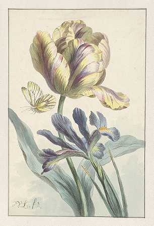 《郁金香和鸢尾花》，威廉·范·利恩著