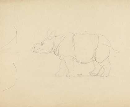詹姆斯·索尔比的《犀牛》