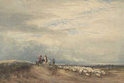 大卫·考克斯的《河口附近有羊的骑手》