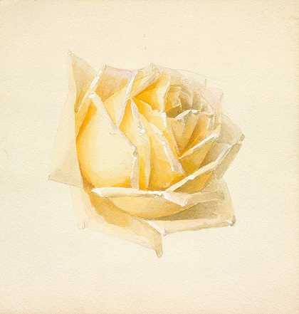 保罗·德·朗普雷的《玫瑰研究》