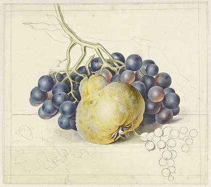 乔治·雅各布斯·约翰内斯·范·奥斯的《葡萄与梨的静物》