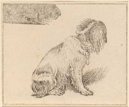 科内利斯·普卢斯·范·阿姆斯特尔的《坐着的狗》