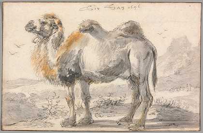 科内利斯·萨夫特莱文的《骆驼》
