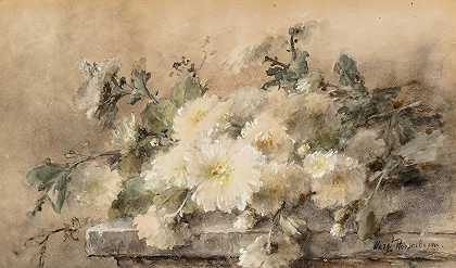 Margaretha Roosenboom的《白色菊花洒在石壁上》