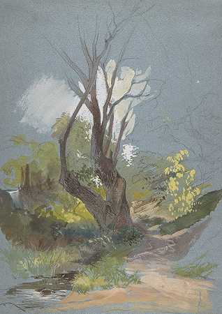 弗里德里希·冯·内利的《带树的山路》