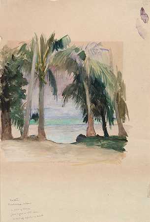 约翰·拉法奇的《海边的棕榈》