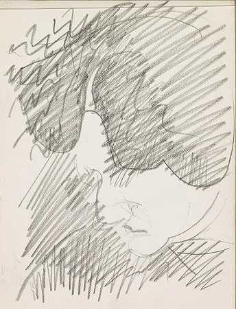 Reijer Stolk的《一个头发翘起的女人的头像》