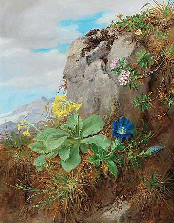 《阿尔卑斯之花》作者：Anna Stainer Knittel