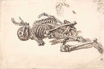 詹姆斯·沃德的《人类骨架》
