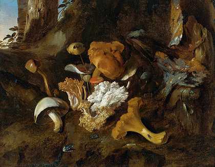 奥托·马修斯·范·施莱克的《蘑菇、蝴蝶和蛇的森林地板》