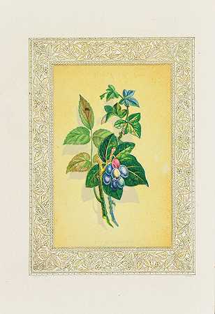 约翰·亨利·英格拉姆的《常春藤与浆果》
