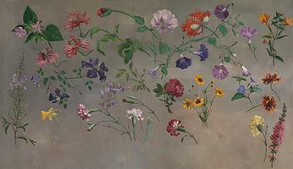 雅克·洛朗·阿加塞的《花卉研究》