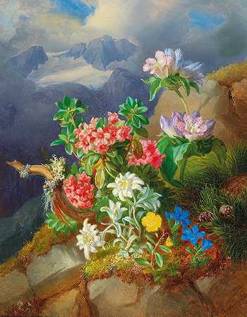 安德烈亚斯·拉赫的《高山花》