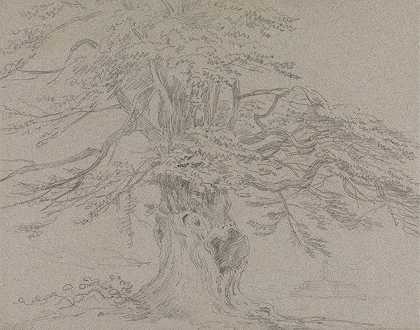 乔治·豪兰·博蒙特的《树木研究》