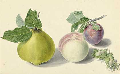 伊丽莎白·格特鲁伊达·范·德·卡斯特尔的《米歇尔·范·休休姆》中的梨子、桃子、李子和坚果