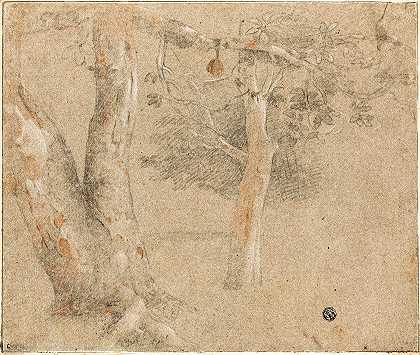 克里斯托法诺·阿洛里的《树木草图》